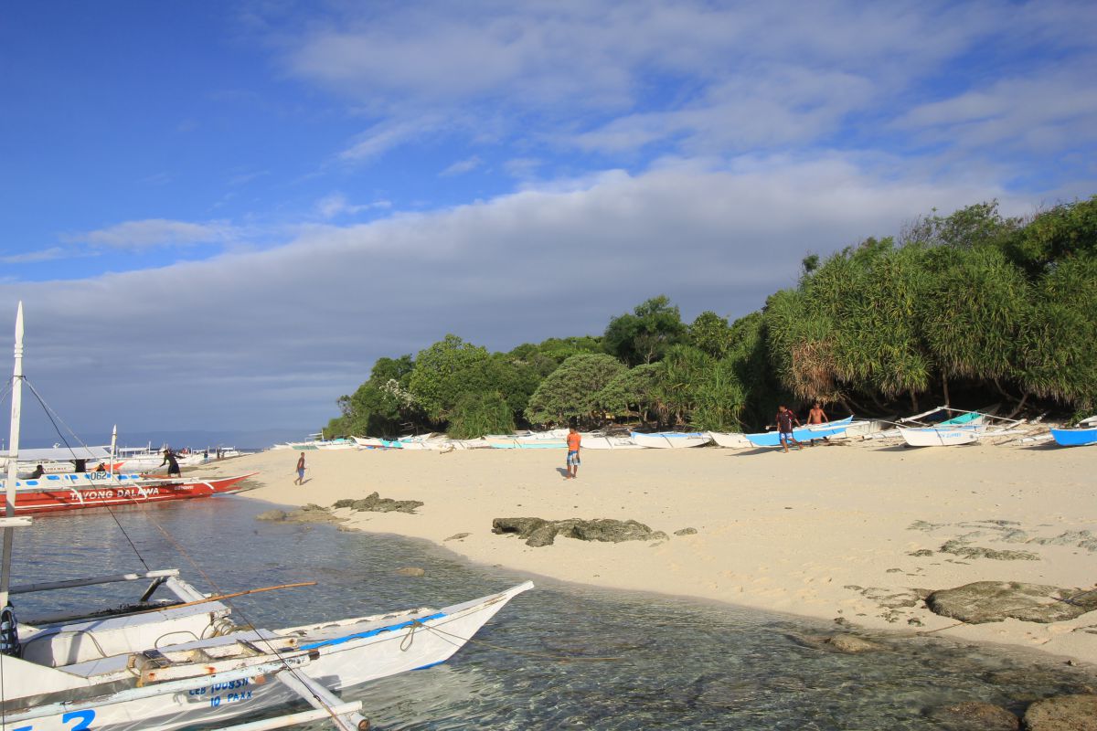 Panglao Island Hopping: Dolphin Watching, Balicasag Island, Virgin Island & Alona Beach